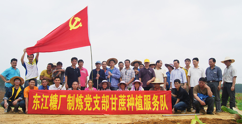 開(kāi)展黨支部活動(dòng)全力發(fā)展甘蔗種植
